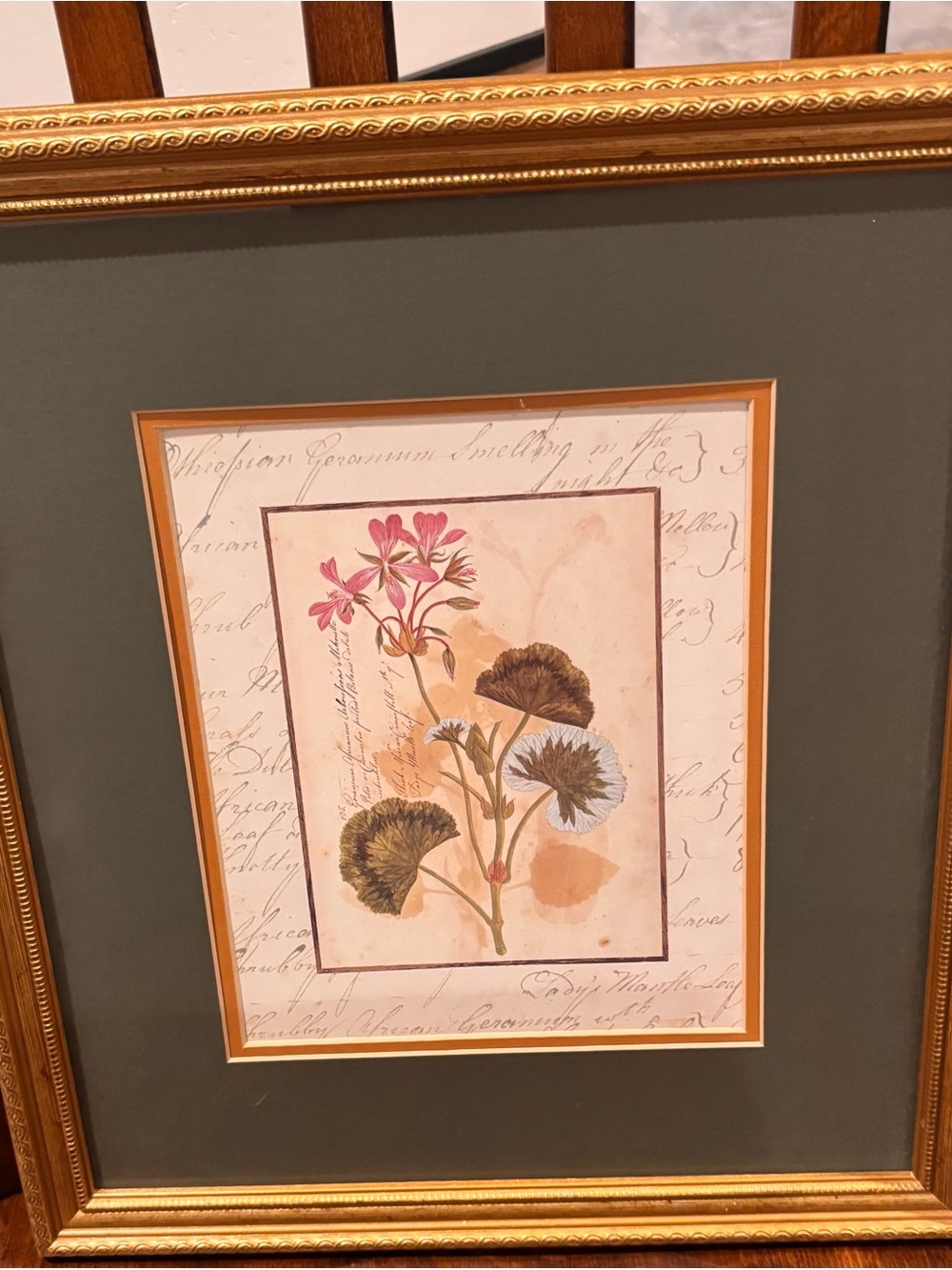 Set of 2 Framed Botanical Prints Althea & Geranium Floral Wall Decor 14.5”x16.5”